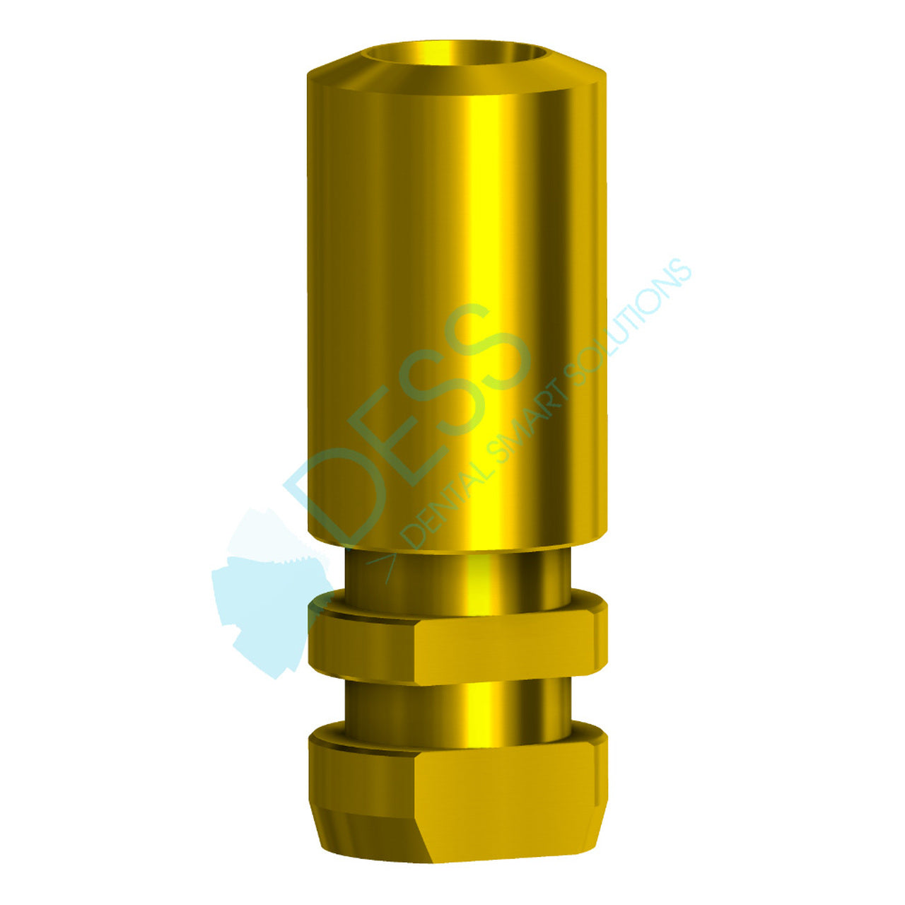 Analogue compatible with Straumann® BLX