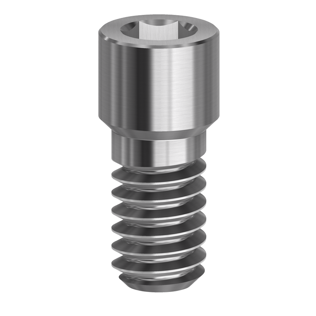 SCREW HEX 1.28mm compatible with Dentium Superline™