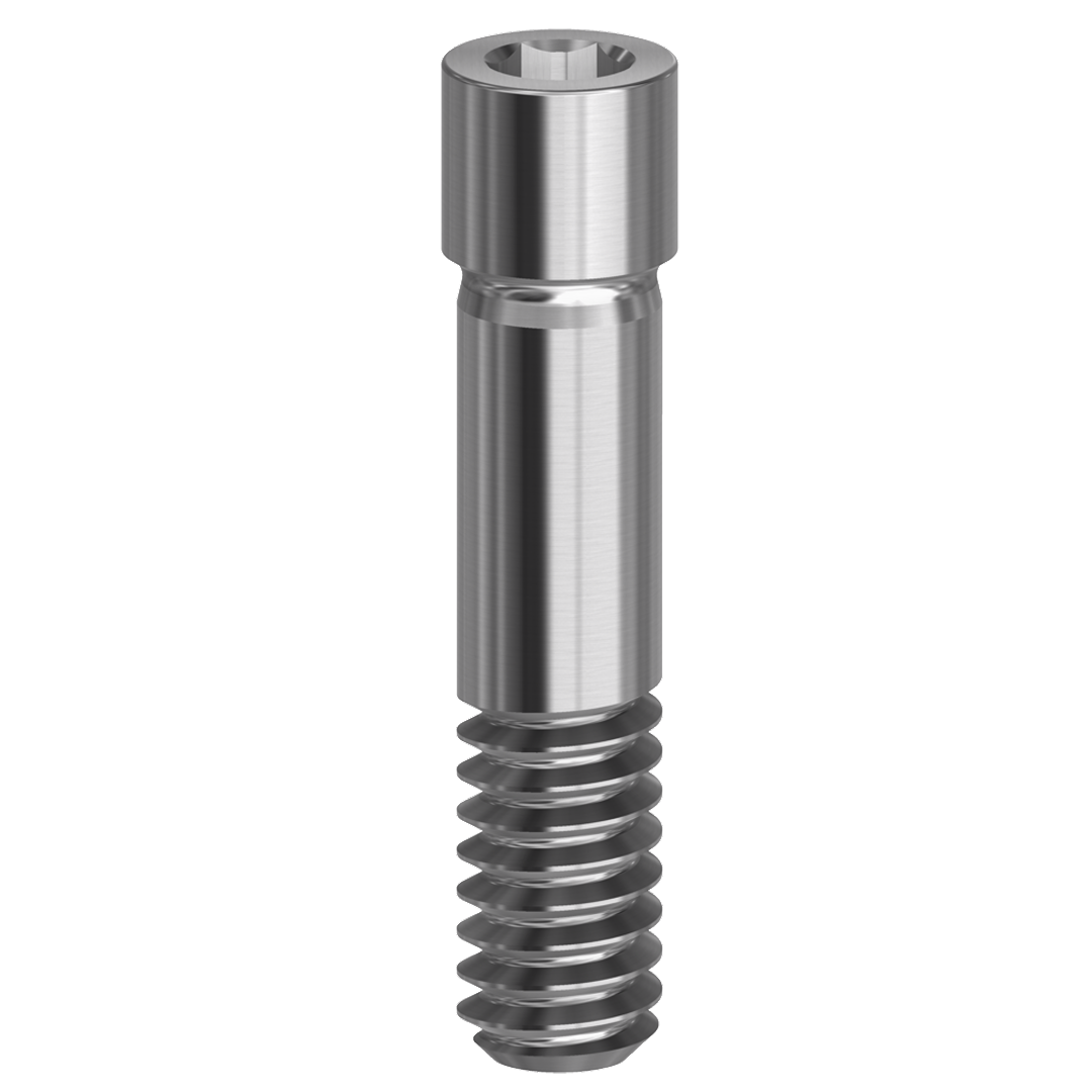 SCREW HEX 1.28mm compatible with Dentium Superline™