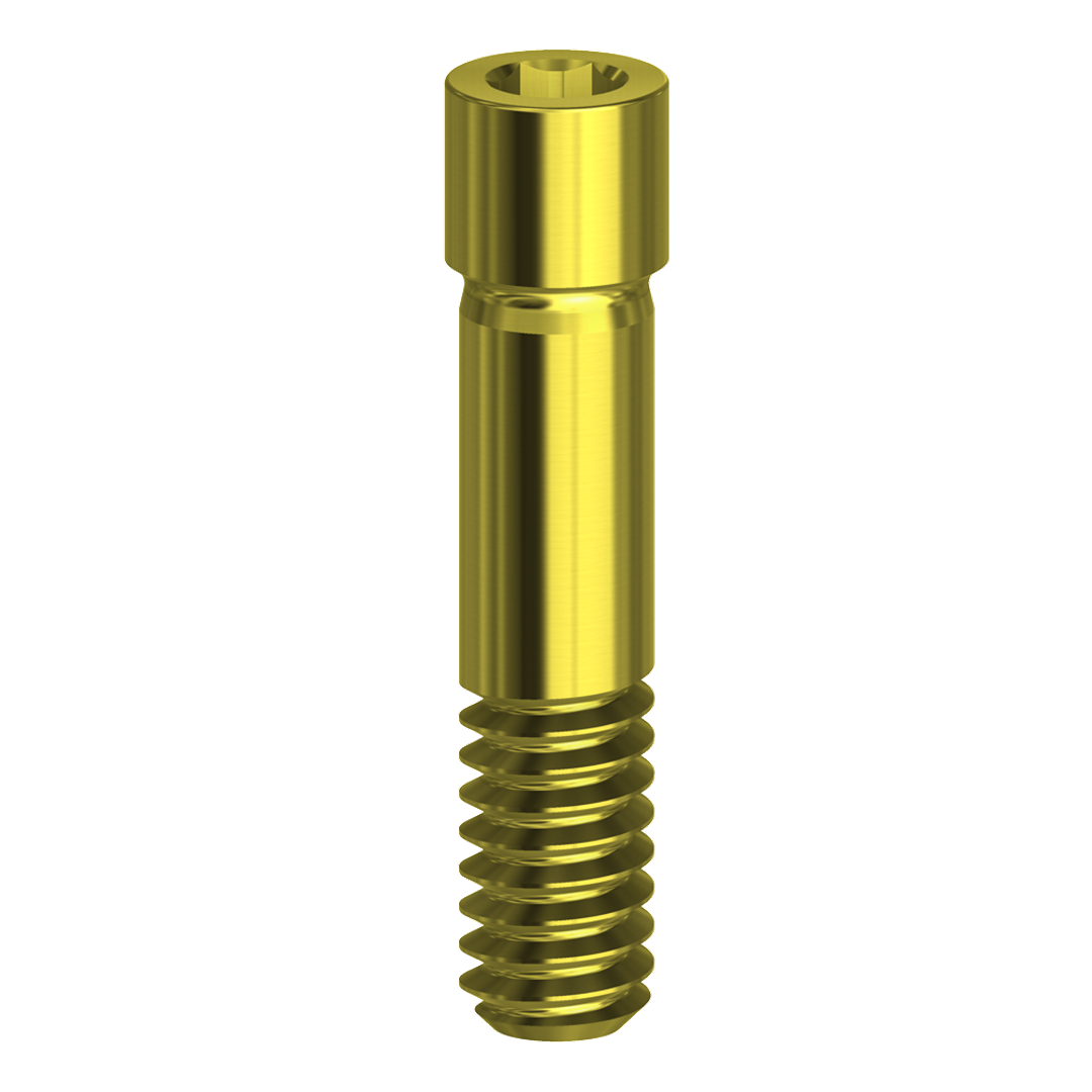 SCREW HEX 1.28mm compatible with Dentium Superline™