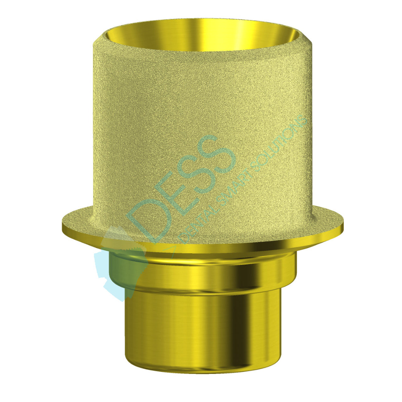 DESS ANGLEBase® compatible with Xive®