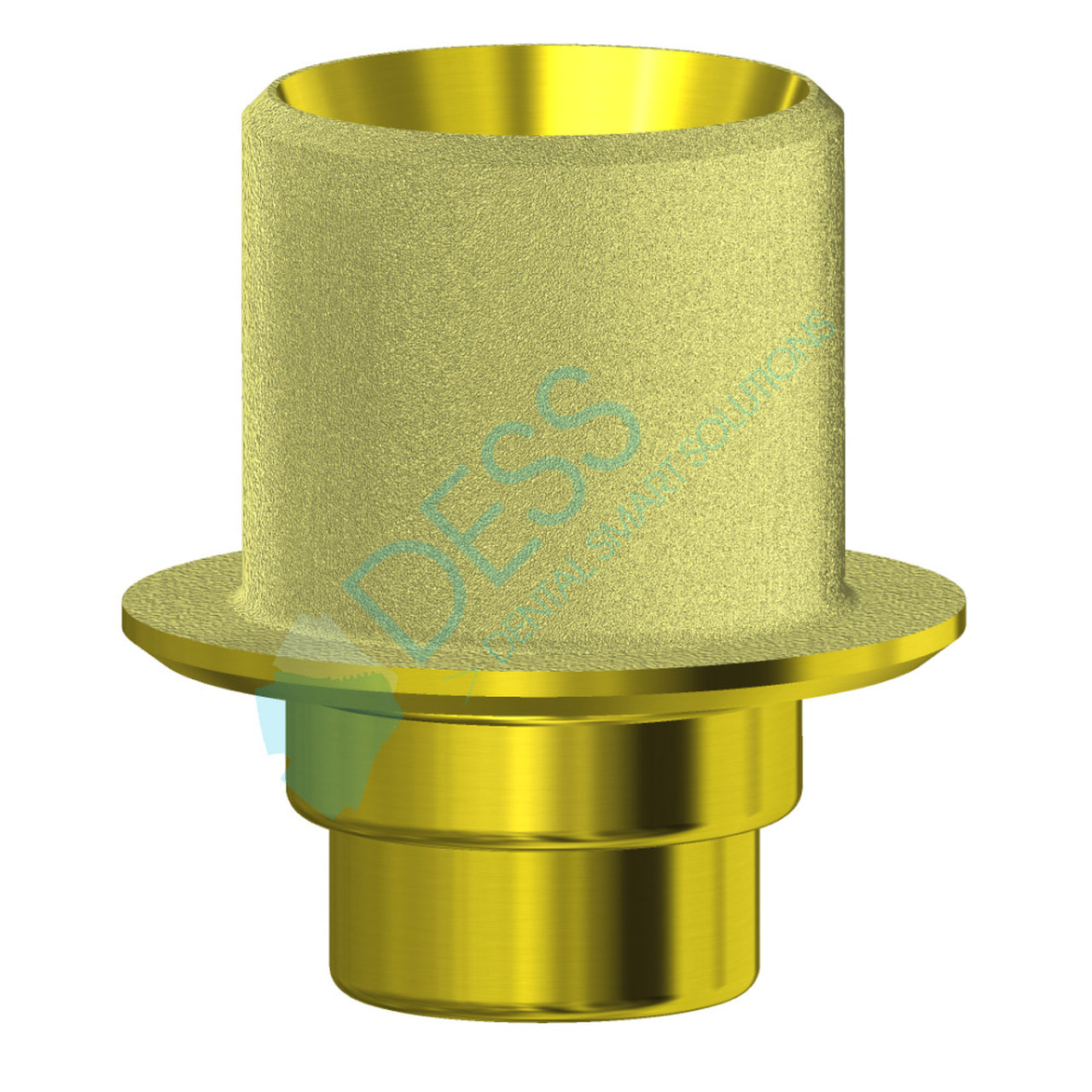 DESS ANGLEBase® compatible with Xive®