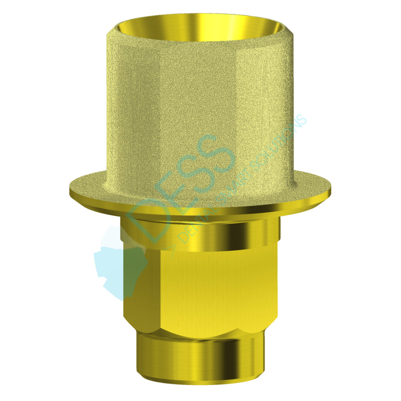 DESS ANGLEBase® compatible with Xive®