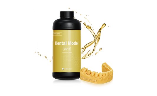 DENTAL MODEL (DM12)