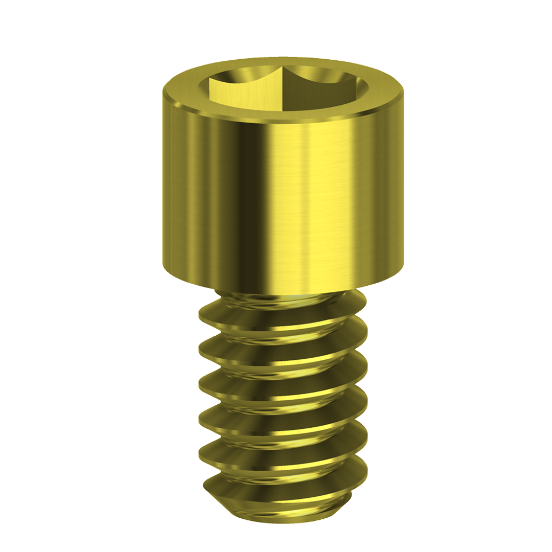 SCHROEF HEX 1,22 mm compatibel met BTI®