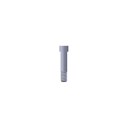 Abutment Screw