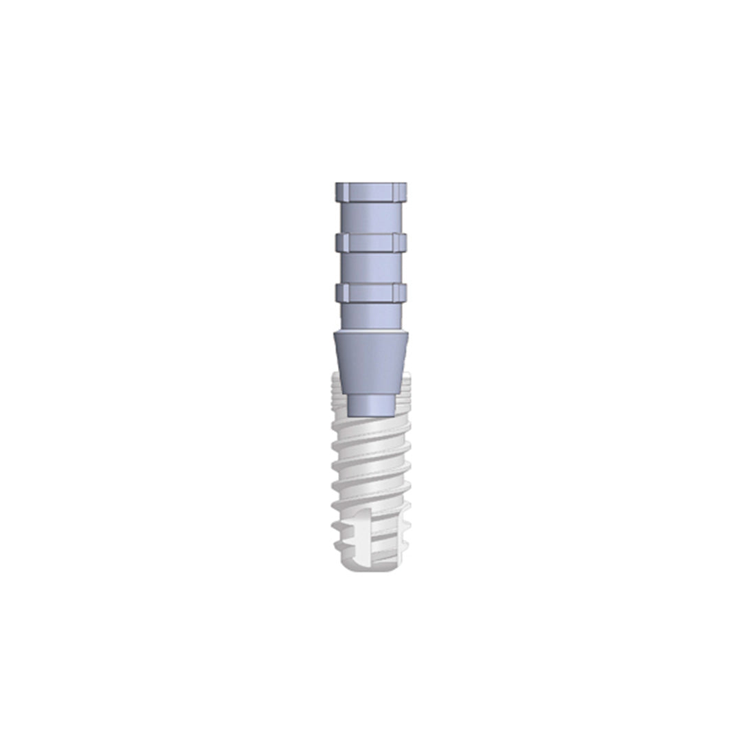 Provi Abutment