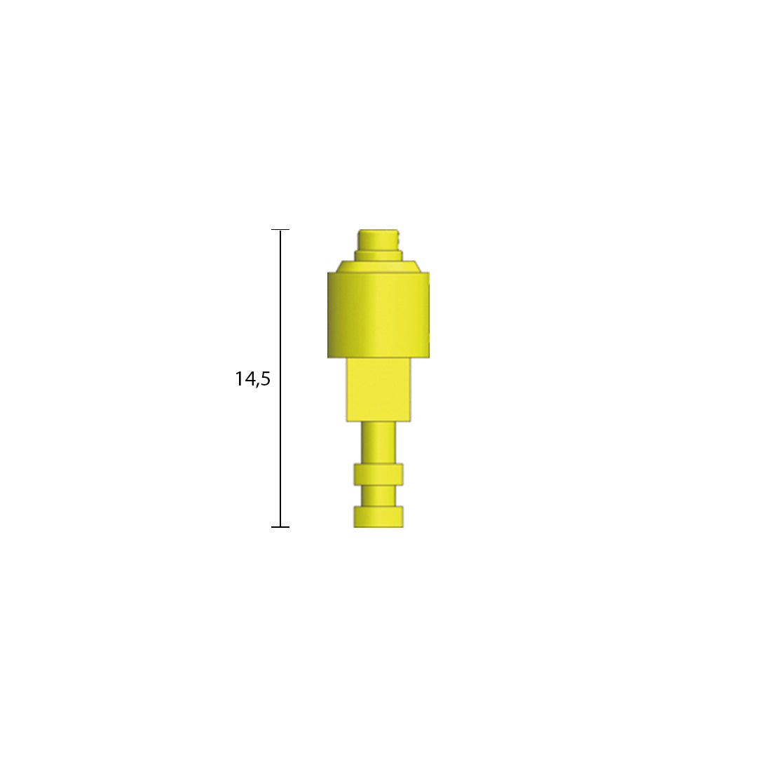 SR-abutment analoog