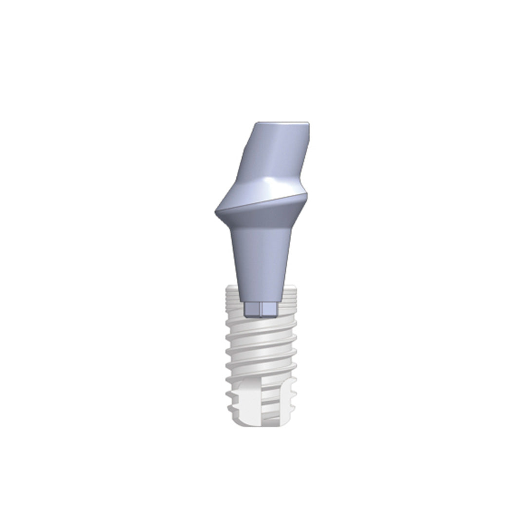 Smart abutments (gehoekt 15°)