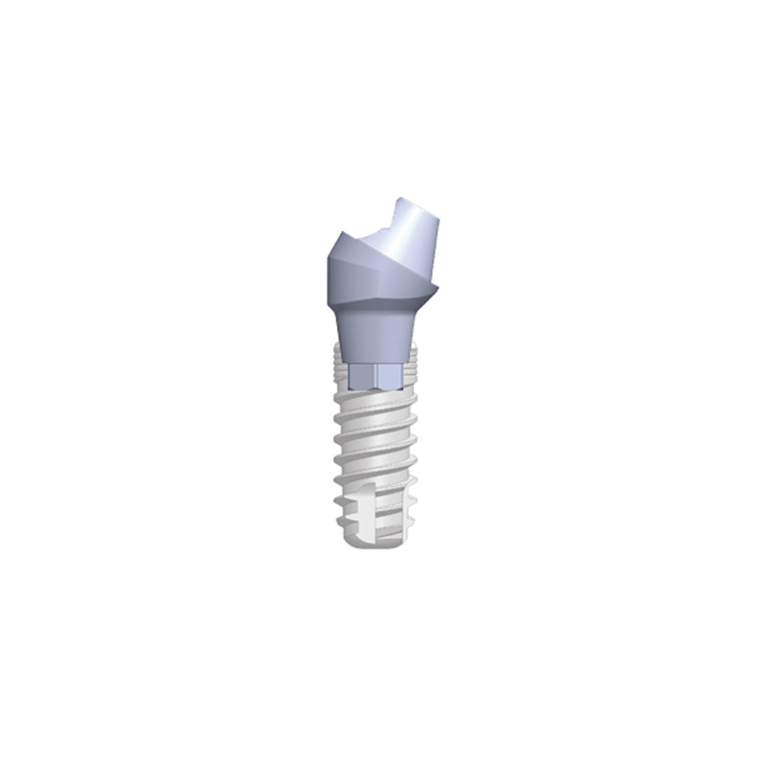 SR-abutments (geanguleerd)