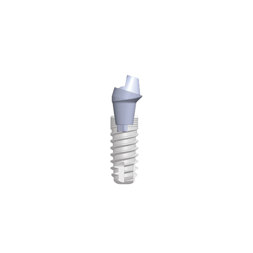 SR-abutments (geanguleerd)