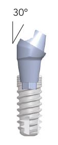 SR-abutments (geanguleerd)