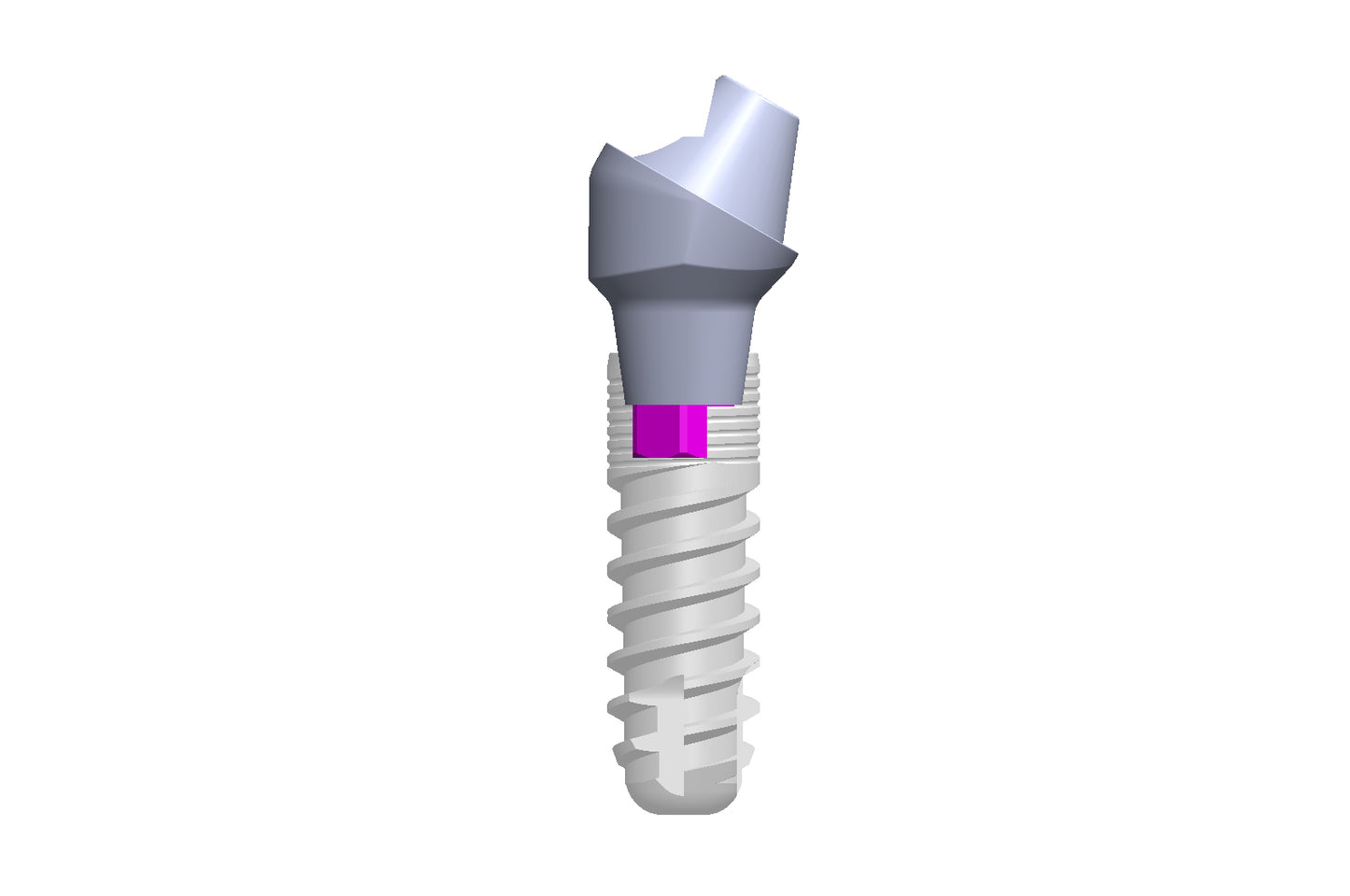 SR Abutments (Angulated)