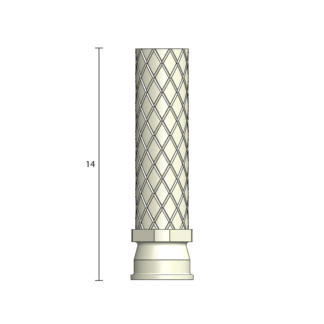 SR Abutment Provi Coping single-unit