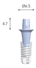 Ti-Base-abutments