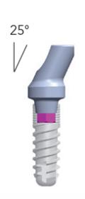 Smart abutments (gehoekt 25°)