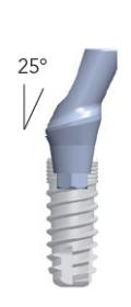 Smart abutments (gehoekt 25°)