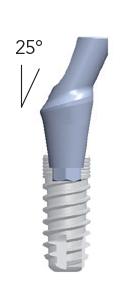 Smart abutments (gehoekt 25°)