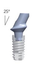 Smart abutments (gehoekt 25°)