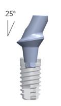 Smart abutments (gehoekt 25°)