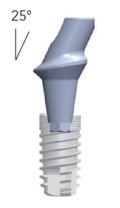 Smart abutments (gehoekt 25°)