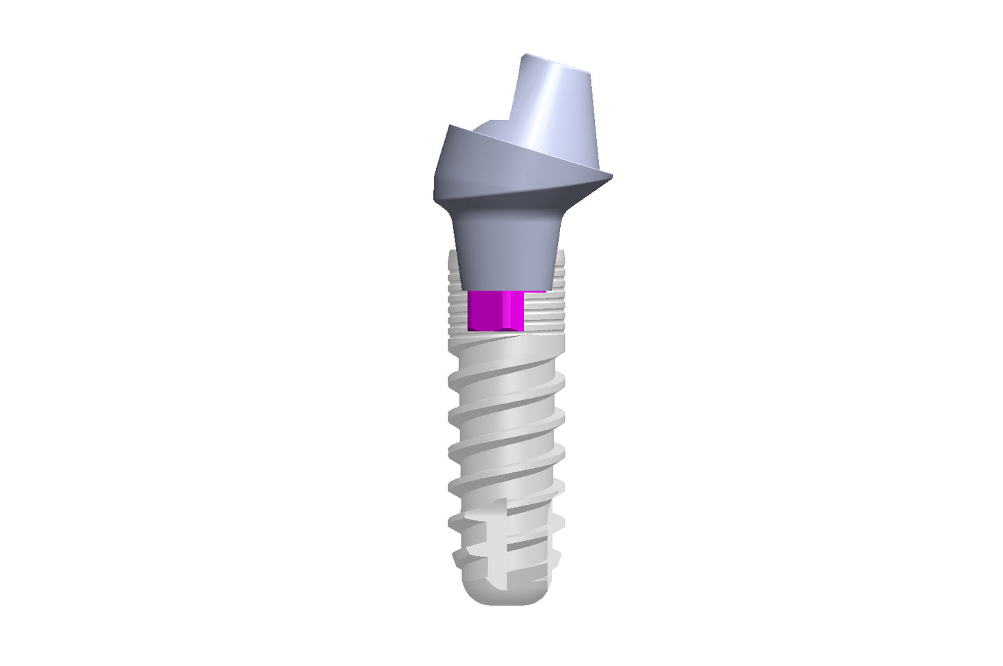 SR-abutments (geanguleerd)