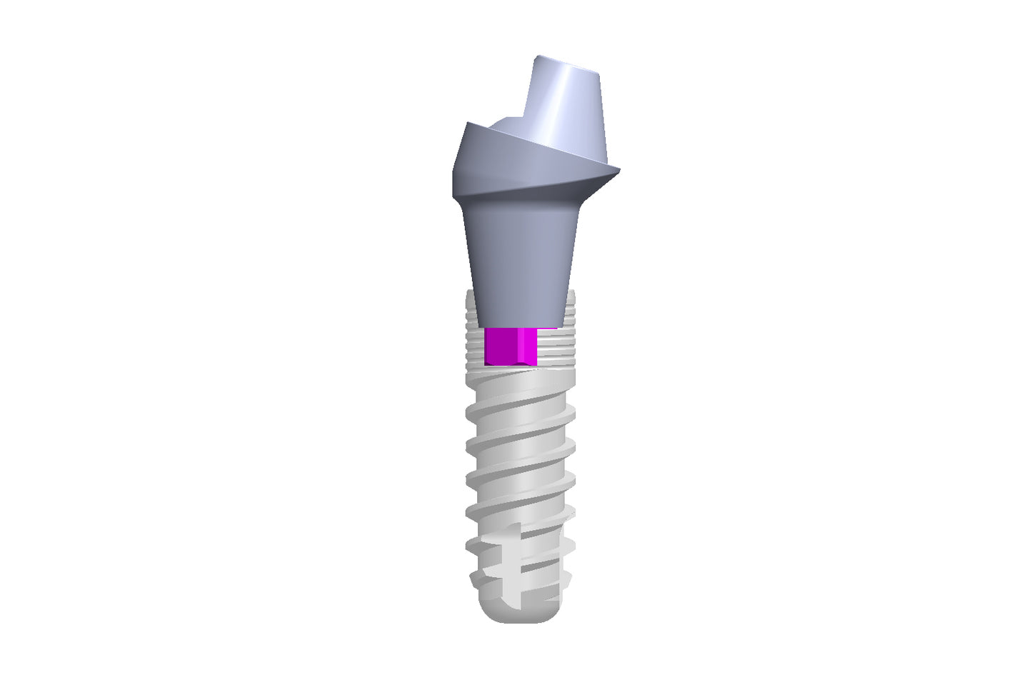 SR-abutments (geanguleerd)