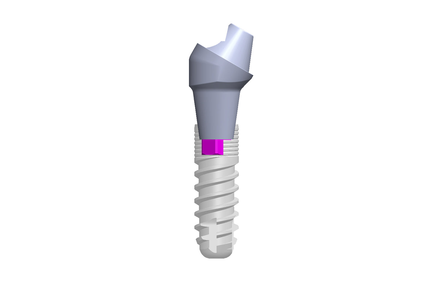 SR-abutments (geanguleerd)