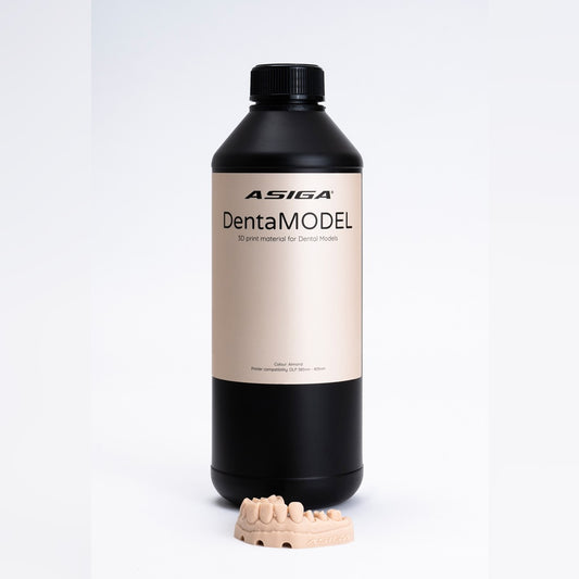 DentaMODEL