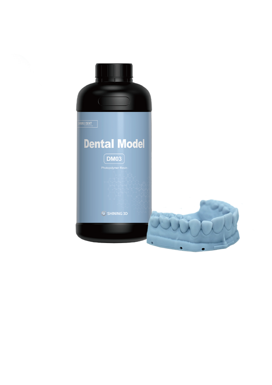 Dental model DM03