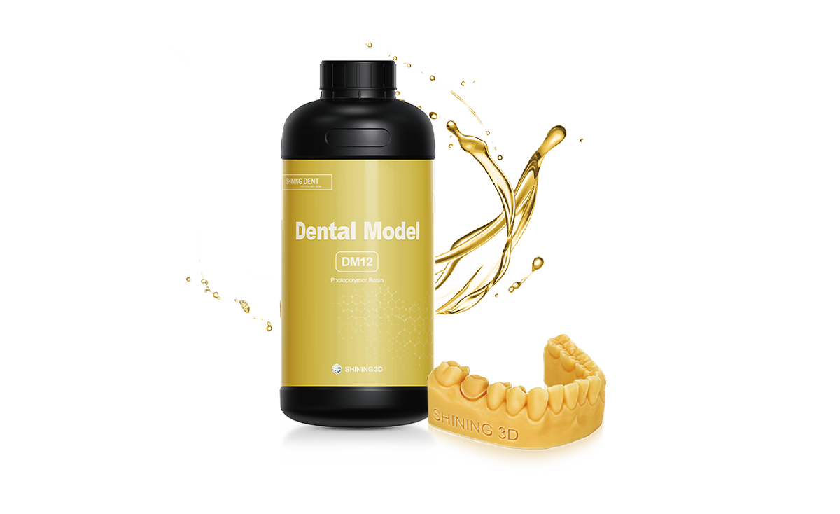 DENTAL MODEL (DM12)