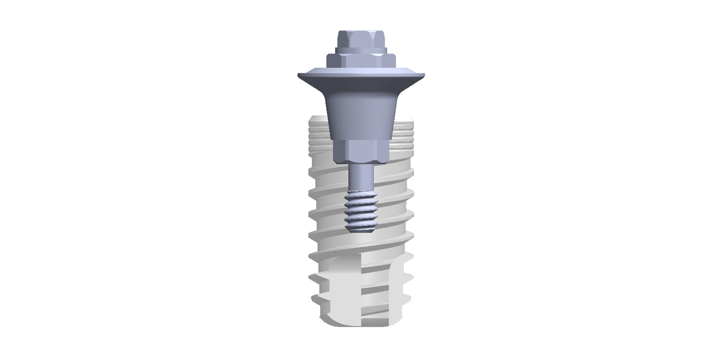 SR-abutments uit één stuk